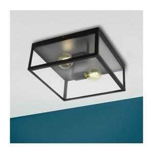 Eglo 49392 - Stropné svietidlo CHARTERHOUSE 2xE27/60W/230V 49392 vyobraziť