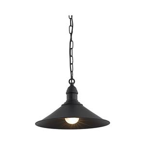 Argon 631 - luster na reťazi ERBA 1xE27/60W/230V 631 vyobraziť