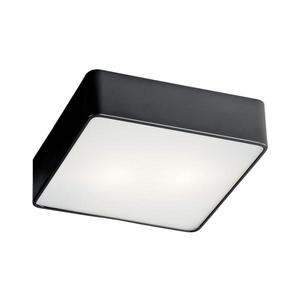 Argon 654 - Stropné svietidlo ONTARIO 2xE27/15W/230V 654 vyobraziť