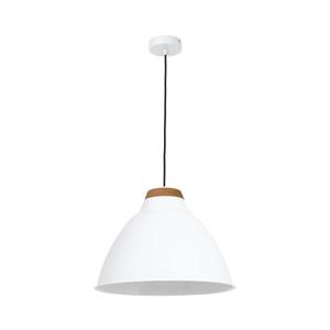 Luster SKAL 1xE27/60W/230V 9189 vyobraziť