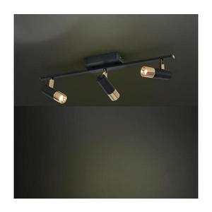 Eglo 39146 - LED Bodové svietidlo TOMARES 3xLED/5W/230V/12V 39146 vyobraziť