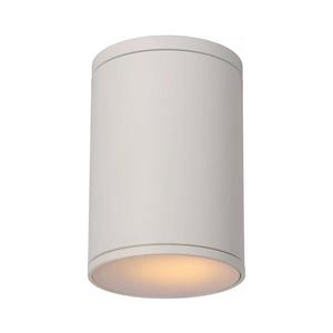 Lucide 27870/01/31 - Kúpeľňové stropné svietidlo TUBIX 1xE27/24W/230V IP54 27870/01/31 vyobraziť