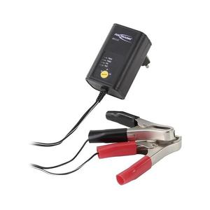 Ansmann 11496 - ALCS 2-12/0, 4 - Nabíjačka batérií 2-12V/1, 2-40Ah 11496 vyobraziť