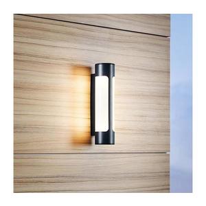 Eglo 97119 - LED vonkajšie nástenné svietidlo TONEGO 2xLED/6W/230V 97119 vyobraziť