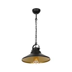 Luster na reťazi IRON 1xE27/60W/230V 6341 vyobraziť