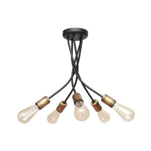 Luster na tyči HARVARD 5xE27/15W/230V W-1026/5 BK+AB vyobraziť