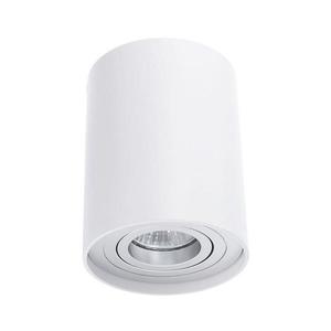 Azzardo - Stropné svietidlo BROSS 1xGU10/50W/230V vyobraziť