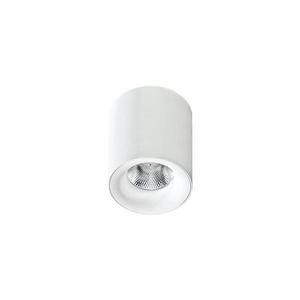 Azzardo - LED Stropné svietidlo MANE 1xLED/10W/230V vyobraziť