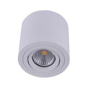 Emithor - Stropné bodové svietidlo SURFACE 1xGU10/50W/230V vyobraziť