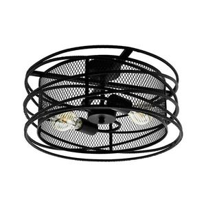 Eglo 43091 - Stropné svietidlo BLACKWATER 2xE27/60W/230V 43091 vyobraziť