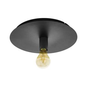 Eglo 98155 - Stropné svietidlo PASSANO 1xE27/60W/230V 98155 vyobraziť