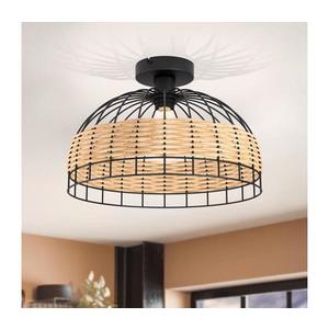 Eglo 43398 - Stropné svietidlo ANWICK 1xE27/60W/230V 43398 vyobraziť