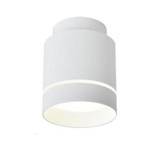 LED Stropné svietidlo TUBA LED/12W/230V 2275918 vyobraziť