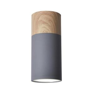 Stropné svietidlo TUBA GU10/15W/230V 2284279 vyobraziť