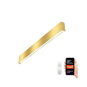 NEO 07137-G - LED SMART Stmievateľné svietidlo LINEA LED/40W/230V + DO 76 cm 07137-G vyobraziť