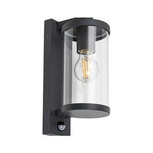 Rabalux - Vonkajšie nástenné svietidlo so senzorom 1xE27/60W/230V IP44 7892 vyobraziť