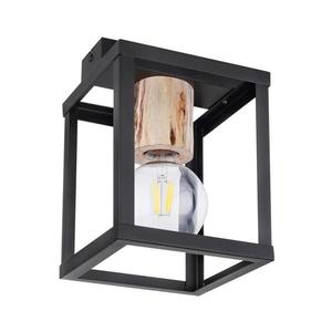 Globo 15476D - Stropné svietidlo HAGAR 1xE27/60W/230V 15476D vyobraziť