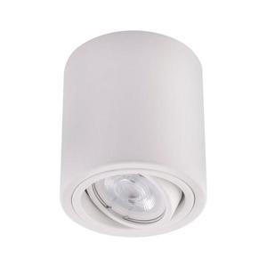 LED Bodové svietidlo TUBA 1xGU10/5W/230V 4000K biela 4058075606821 vyobraziť