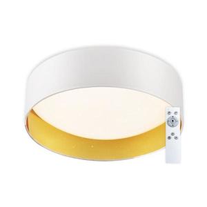 Top Light - LED Stmievateľné stropné svietidlo LED/24W/230V + diaľkové ovládanie biela Ivona 40B RC vyobraziť