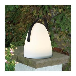 Eglo 48841 - LED Vonkajšia stolná lampa COLLIRADOS LED/3xAA IP44 48841 vyobraziť