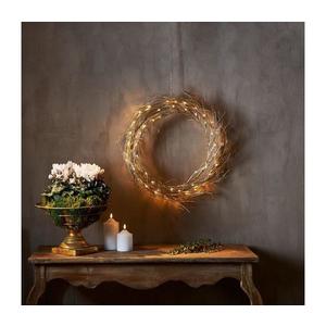 Eglo 411421 - LED Vianočná dekorácia FIZZY 50xLED/0, 06W/5/230V 411421 vyobraziť