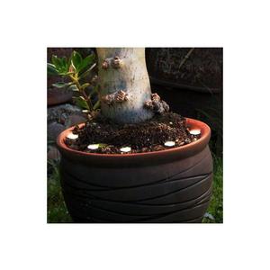 Eglo 900117 - LED Vonkajšia dekoračná reťaz SPINETOLI 6xLED IP65 900117 vyobraziť