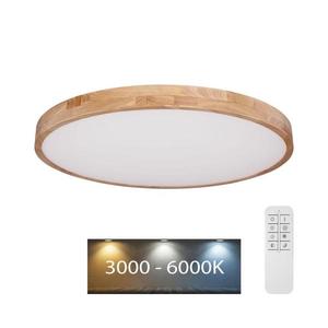 Globo 41745-60 - LED Stmievateľné stropné svietidlo RAINER LED/60W/230V + DO 41745-60 vyobraziť