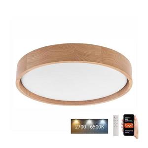 Brilagi - LED stropné svietidlo MANAROLA SMART LED/24W/230V + DO Tuya vyobraziť
