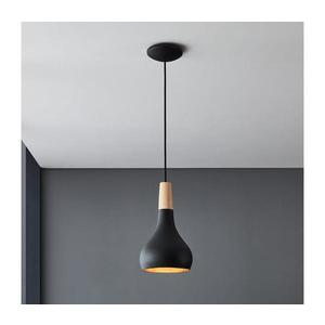 Eglo 900161 - Luster na lanku SABINAR 1xE27/40W/230V pr. 18 cm čierna 900161 vyobraziť