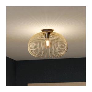 Eglo 900165 - Stropné svietidlo VENEZUELA 1xE27/40W/230V 900165 vyobraziť