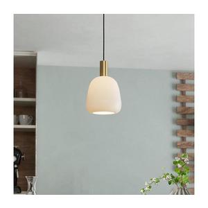 Eglo 900305 - Luster na lanku MANZANARES 1xE27/40W/230V 900305 vyobraziť