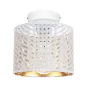 HEXE Stropné svietidlo ALDO 1xE27/60W/230V pr. 20 cm biela 0035 vyobraziť