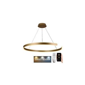 LED Stmievateľný luster na lanku LED/100W/230V 3000-6500K + diaľkové ovládanie J4327/G vyobraziť