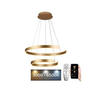 LED Stmievateľný luster na lanku LED/120W/230V 3000-6500K + diaľkové ovládanie J4328/G vyobraziť