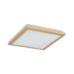 Argon 7146 - Stropné svietidlo CASERTA 2xE27/15W/230V 32x32 cm 7146 vyobraziť