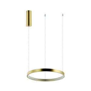 Zam 2007 - LED Stmievateľný luster na lanku LED/50W/230V zlatá 2007 vyobraziť