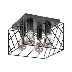 Rabalux 71027 - Stropné svietidlo BOROO 4xE27/25W/230V 71027 vyobraziť