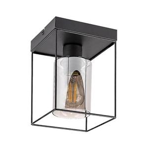 Rabalux 71031 - Stropné svietidlo CHADWICK 1xE27/25W/230V 71031 vyobraziť