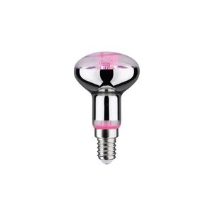 LED Žiarovka na rast rastlín GROW ZELENÁ R50 E14/4W/230V - Paulmann 28734 28734 vyobraziť