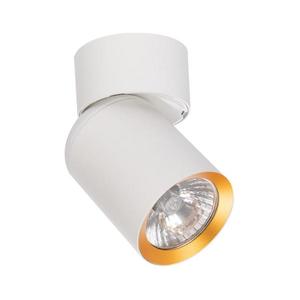 Bodové svietidlo ANDY 1xGU10/8W/230V biela/zlatá ML9932 vyobraziť