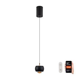 NEO 07219L - LED Stmievateľný luster DORMINE 6W/230V matná čierna Tuya +DO 07219L vyobraziť