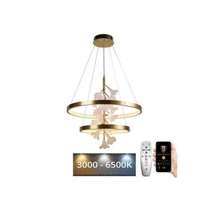 LED Stmievateľný luster na lanku LED/70W/230V 3000-6500K + diaľkové ovládanie J5301/C vyobraziť