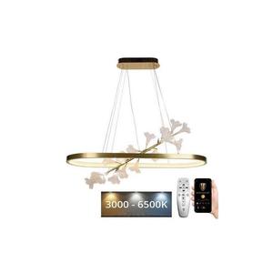 LED Stmievateľný luster na lanku LED/55W/230V 3000-6500K + diaľkové ovládanie J5303/C vyobraziť