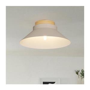 Eglo 900736 - Stropné svietidlo MOHARRAS 1xE27/40W/230V 900736 vyobraziť