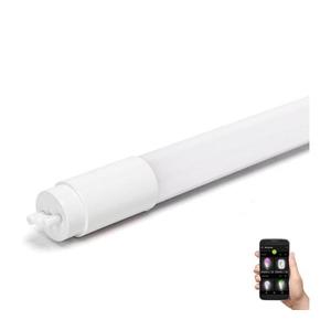 B.V. LED Žiarivková trubica T8/18W/230V 6500K 120 cm - S10301M3I vyobraziť