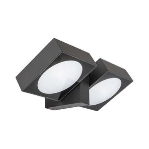 Rabalux 77101 - LED Vonkajšie nástenné svietidlo TELDE 2xLED/7W/230V IP54 antracit 77101 vyobraziť