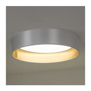- LED Stropné svietidlo ROLLER LED/24W/230V pr. 45 cm strieborná/zlatá 605328 vyobraziť