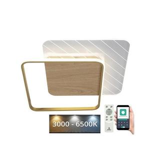 LED Stmievateľné stropné svietidlo LED/60W/230V 3000-6500K + diaľkové ovládanie TB1304/GW vyobraziť