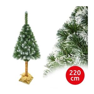 Vianočný stromček na kmeni 220 cm borovica EL-SODEP220 vyobraziť
