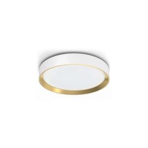 Philips - LED Stmievateľné stropné svietidlo HANNO LED/24W/230V 2700K biela 8720169301375 vyobraziť